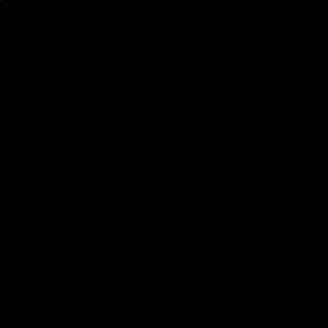 Meet your Posher, Ellie